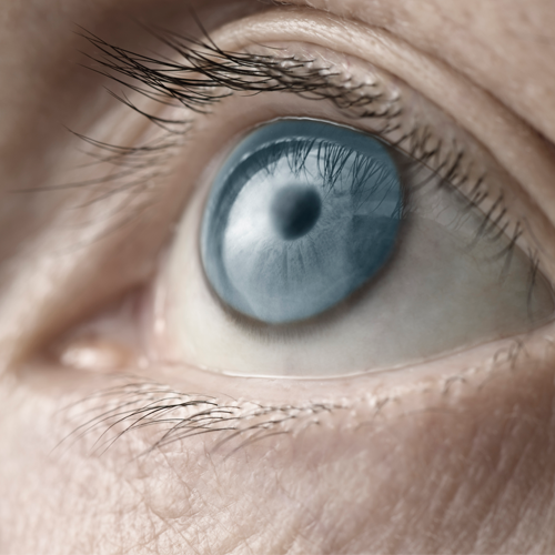 Aides visuelles